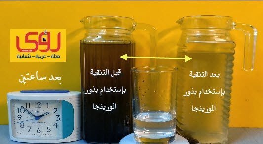 7 خطوات لتنقية وتعقيم الماء في المنزل طبيعياً وبدون فلاتر 4