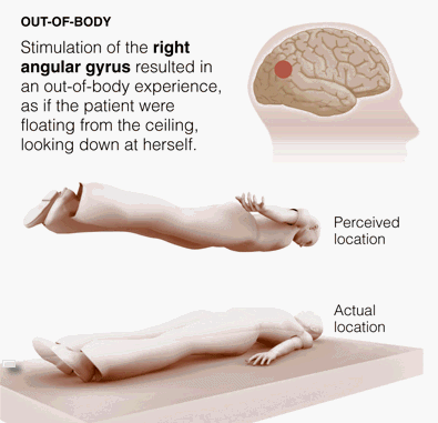 علماء : ظاهرة الخروج من الجسد ربما تكون مهارة تكتسب في الصغر !