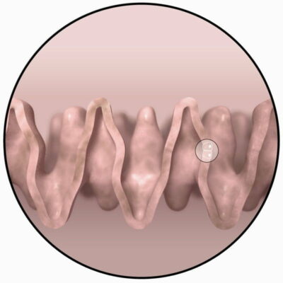 علاج جديد للتأثير القاتل للإشعاع على جسم الإنسان 6