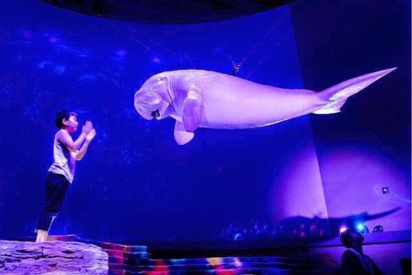 تعرف على تقنية التصوير التجسيمي الهولوجرام Hologram 6