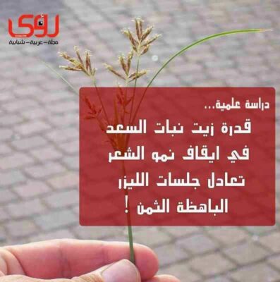 يتفوق على الليزر : فوائد زيت السعد لإيقاف نمو الشعر وطريقة استخدامه 6