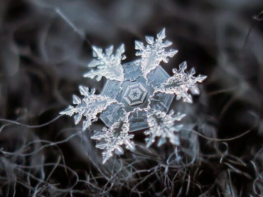 شاهد روعة بلورات الجليد تحت المجهر 32