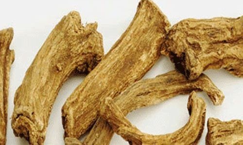 فوائد القسط الهندي 20