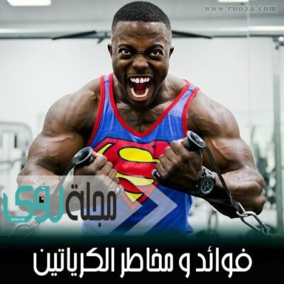 فوائد و مخاطر استخدام الكرياتين لبناء أجسام الرياضيين 18