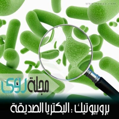 فوائد مكملات البروبيوتيك و مصادرها الغذائية الطبيعية 4