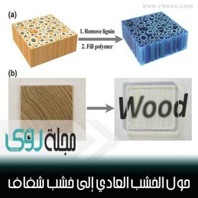 اصنع بنفسك : حول الخشب العادي إلى خشب شفاف ؟! 12