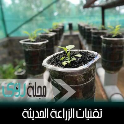 تقنيات الزراعة بدون تربة : الهيدروبونيك - الأيروبونيك - الأكوابونيك 8