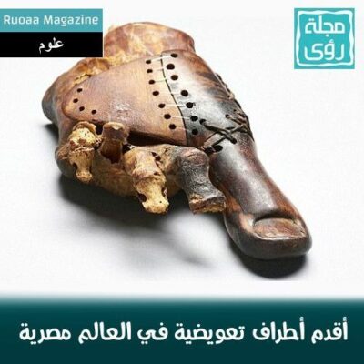 دراسة : أقدم أطراف اصطناعية تعويضية عرفها العالم مصرية 24