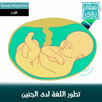 تطور اللغة يبدأ في مرحلة الجنين قبل الولادة - مترجم 14