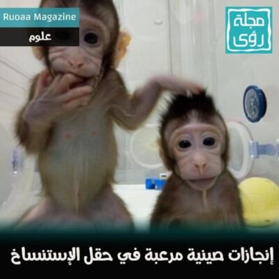 إنجازات صينية مرعبة في حقل الإستنساخ - ترجمة إبراهيم العلو 24