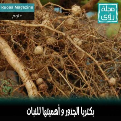 بكتريا الجذور صديقة النبات - ترجمة إبراهيم العلو 14
