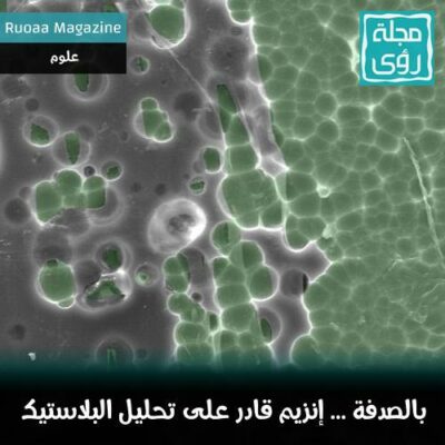 بالصدفة : العلماء ينتجون إنزيماً يهضم البلاستيك ! 4
