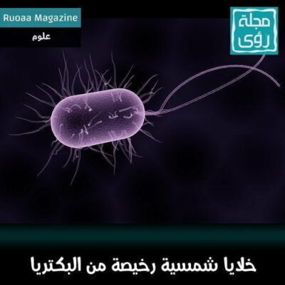 خلايا شمسية رخيصة و مستدامة من البكتريا ! 4