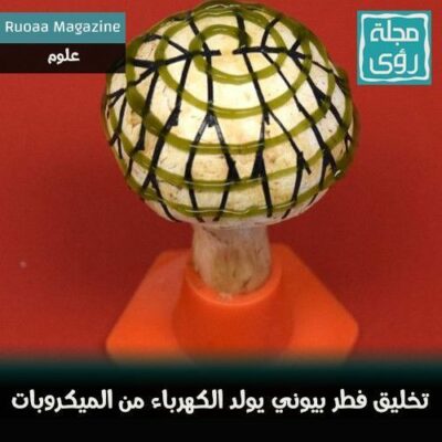 تخليق فطر بيوني يولد الكهرباء من الميكروبات - مترجم 2