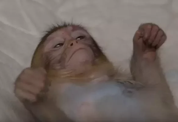 مفتاح في الدماغ لإيقاف الغيبوبة بضغطة زر ! 10