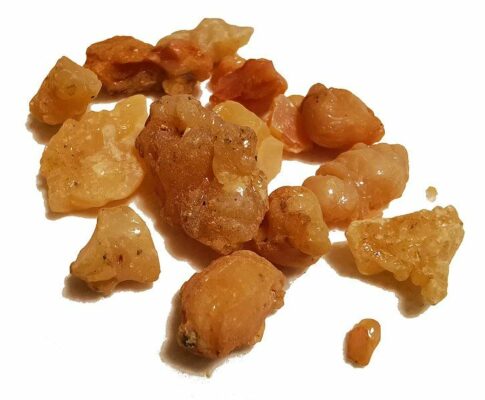 What is Asafoetida gum & why it's called devil's dung?