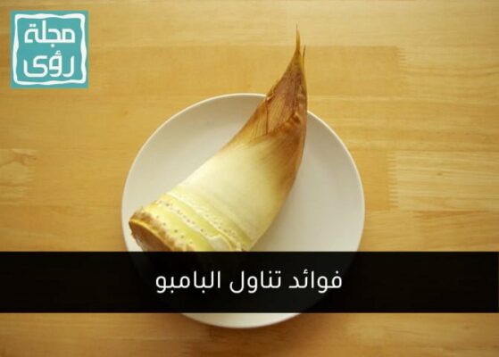 هل أكلت البامبو من قبل ... تعرف على فوائد براعم الخيزران! 7