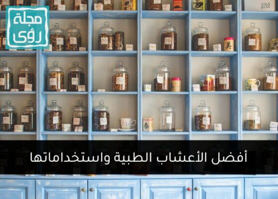 أفضل 25 عشبة طبية يمكنك استخدامها 2