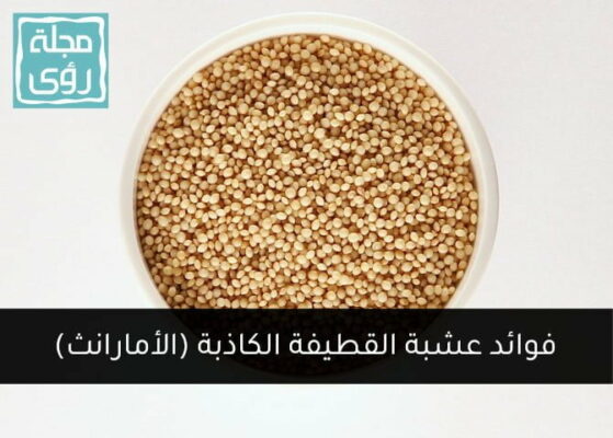 عشبة القطيفة الكاذبة (الأمارانث)