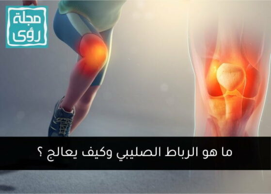 cruciate ligament