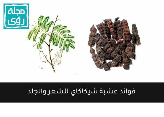 فوائد عشبة شيكاكاي للشعر والجلد 7